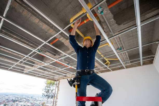 Best Leak Detection Services  in Erma, NJ